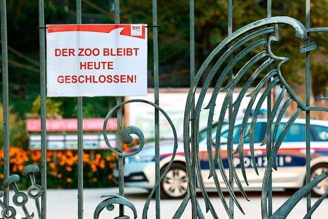 Pflegerin durch Nashorn-Angriff im Zoo Salzburg gettet