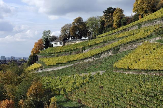 Breisgauer Weinweg