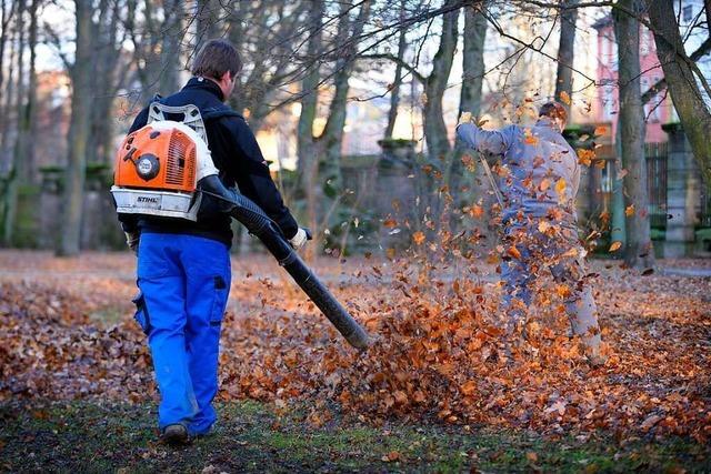 Der Laubblser ist wieder da – und Sie wrden ihn doch auch nutzen