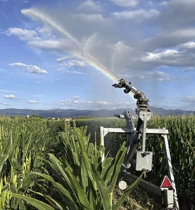 Leider immer fter notwendig: die Bere...ieses Foto  entstand  2022 in Hartheim  | Foto: Frank Schoch