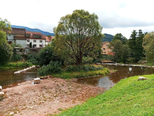 Die renaturierte Elz in Kollnau ist ni...egen gehen auch Abwsser in den Fluss.  | Foto: Sylvia Sredniawa