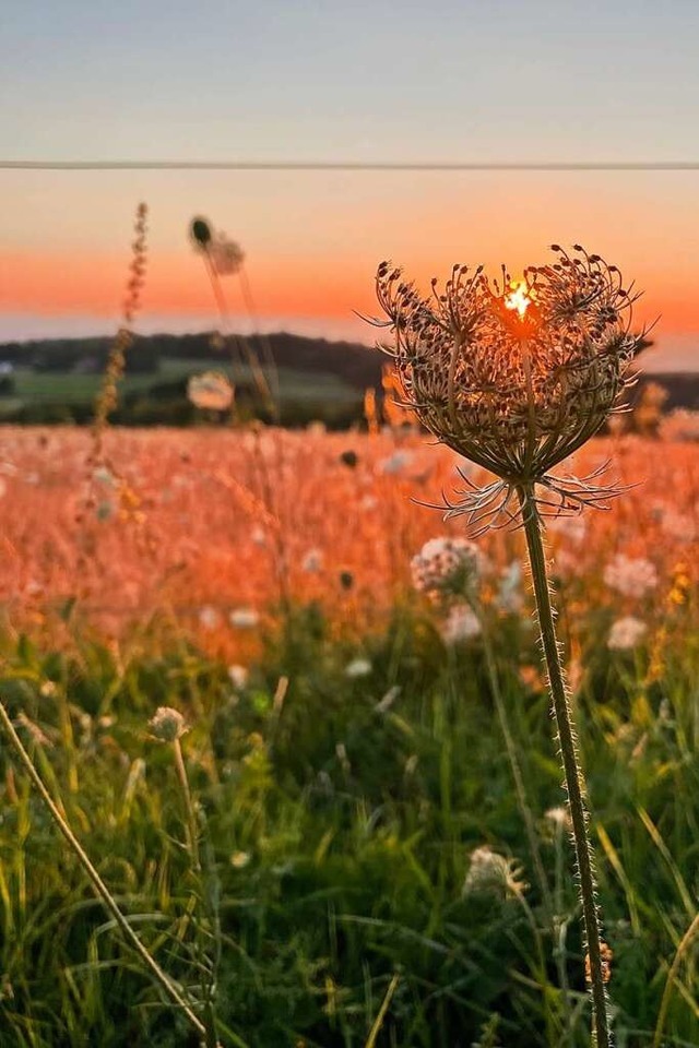 Abendstimmung.  | Foto: Tom Wilhelm (Lahr)