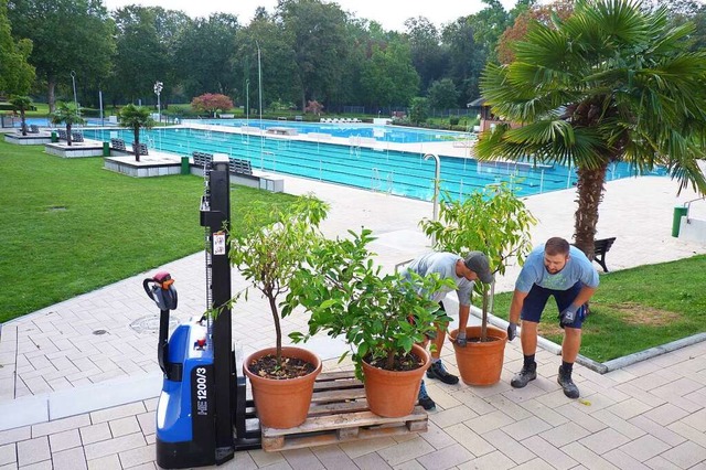 Im Breisacher Waldschwimmbad  bringen ...ehen Reparatur- und Pflegearbeiten an.  | Foto: Dirk Sattelberger