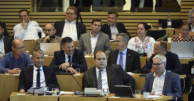 Abgeordnete der AfD am Donnerstag im E...ndtag, vorne rechts sitzt Bjrn Hcke.  | Foto: Martin Schutt (dpa)