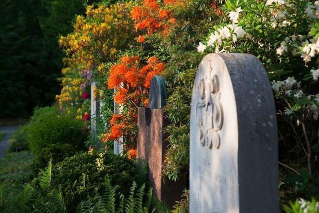 Basler Hrnli-Friedhof gewhrt beim Tag des Friedhofs Einblicke