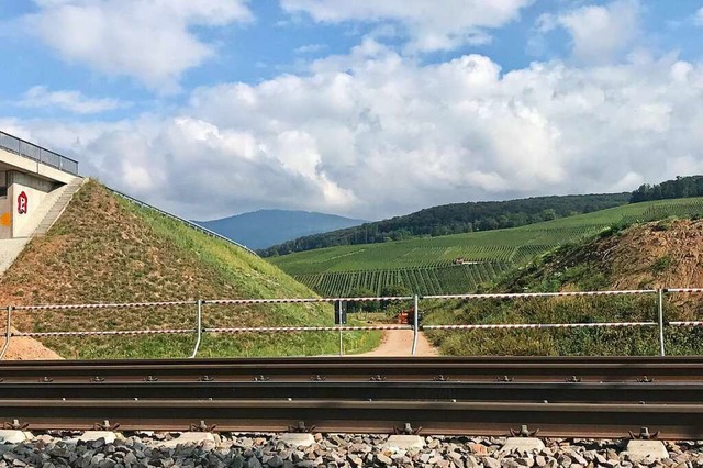 Schotter wurde fr den Eisenbahnbau be...liegen fruchtbare cker und Weinhnge.  | Foto: Jutta Schtz