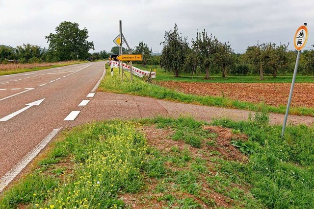 Der neue straenbegleitende Radweg zwi...ingen und das Landratsamt Emmendingen.  | Foto: Martin Wendel