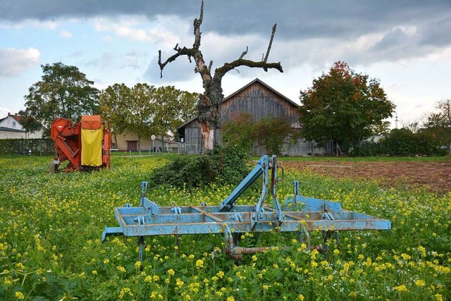 Diese landwirtschaftlichen Flchen bei... den Bau der Feuerwache Nord bentigt.  | Foto: Hannes Lauber