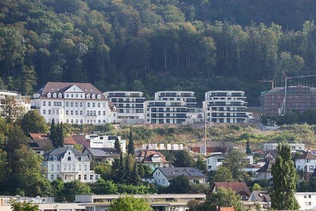 So uern sich ehemalige Sprecher der BI gegen die Altenberg-Bebauung in Lahr heute