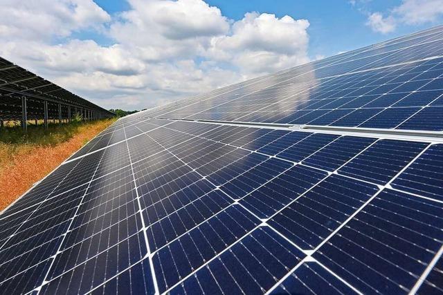 Solarpark in Eimeldingen soll deutlich erweitert werden