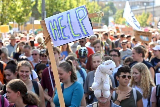 Fridays for Future mobilisiert in Freiburg 6500 Menschen auf zwei Demorouten