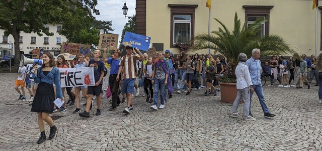 Rund 100 Teilnehmer gab es am Freitag ...Bad Sckingen gegen den Klimawandel.    | Foto: Julia Becker