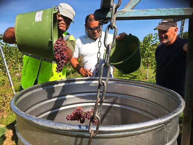 Yves Muller (Mitte) hat das Weingut de...er bernimmt Manfred Schmidt (rechts).  | Foto: Jutta Schtz