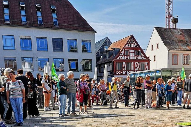 Ziemlich viel graues Haar: Weniger Jug...gung bei Fridays for Future Offenburg.  | Foto: Ralf Burgmaier