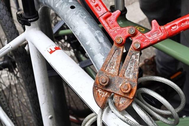 Sicherheitsdienst stellt zwei Fahrraddiebe auf Firmengelnde in Freiburg-Brhl