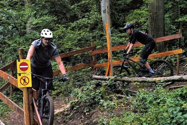 Zweiter Trail fr Lrrachs Mountainbiker ist auf gutem Weg