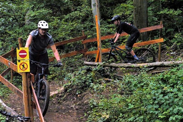 Der erste Trail in Lrrach wird viel befahren. Bald soll es einen zweiten geben.  | Foto: Willi Adam