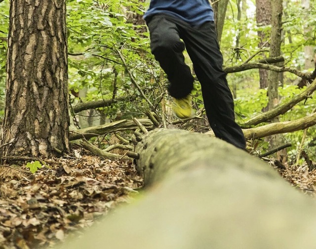 Die ltesten mussten im Wettkampf auch ber Baumstmme balancieren.  | Foto: Christin Klose (dpa)