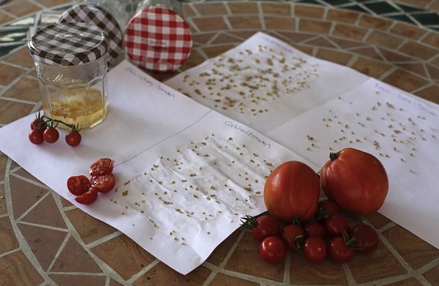 Tomatensamen aus der Saatgutbibliothek der Mediathek Lahr  | Foto: Stadt Lahr