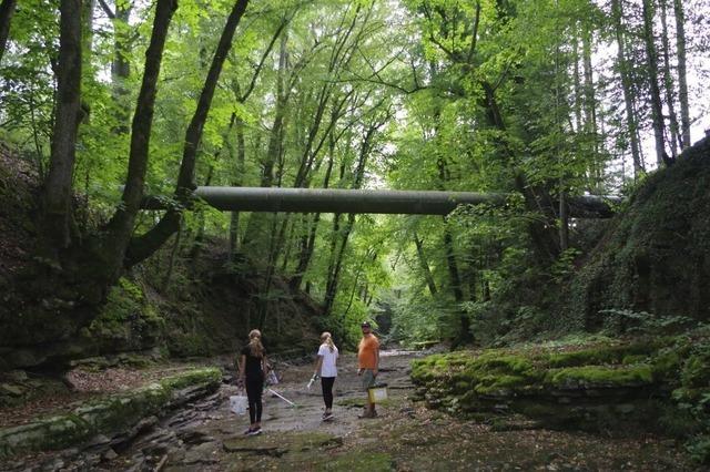 Mit dem BUND in die Schutzgebiete nahe Waldshut