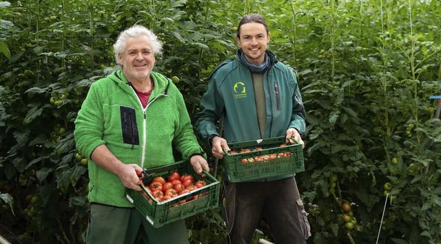 Bio-Tomaten und mehr produzieren Jogi ...dner in ihrer Grtnerei Hoch-Reinhard.  | Foto: Jogi Reinhard