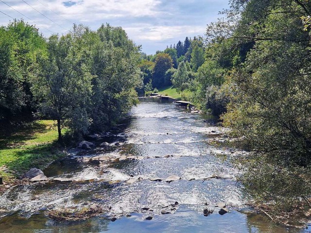 Derzeit fliet nicht viel Wasser die W...er, wie hier an der Tllinger Brcke.   | Foto: Maja Tolsdorf