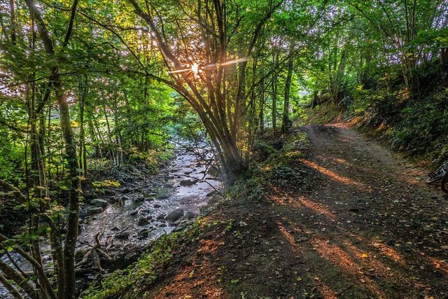 Wagensteigbach bei Buchenbach.  | Foto: Bernd Wehrle