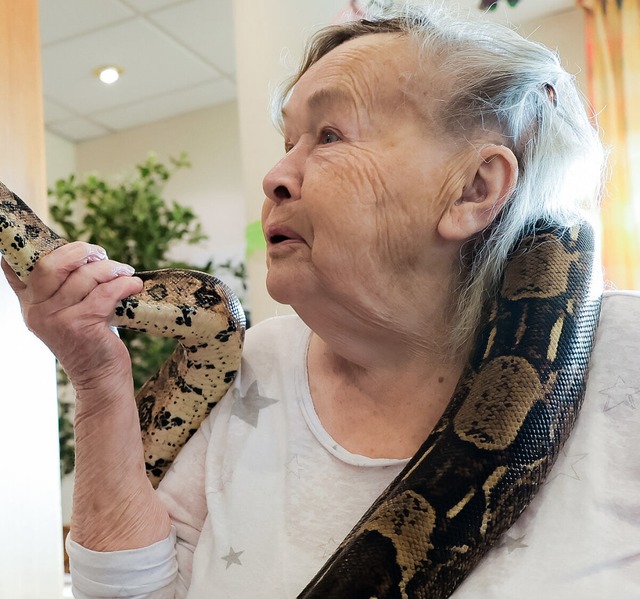 Gerda Hachmann mit der Boa Constrictor Lilly  | Foto: Ulrich Perrey (dpa)