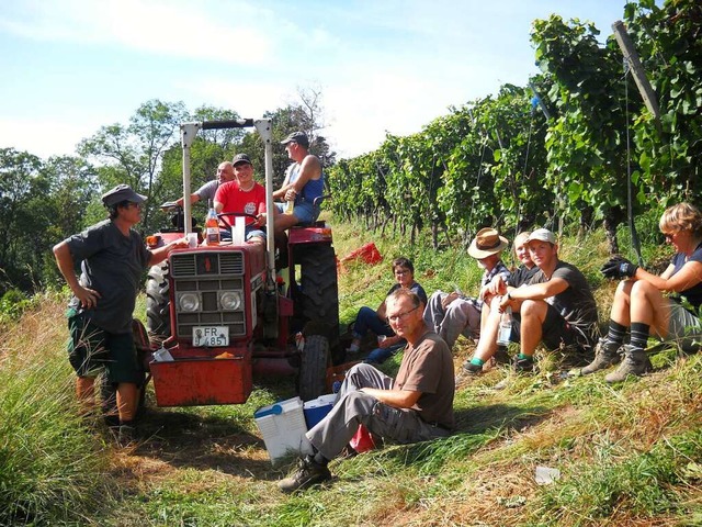 Kurzes Puschen: die Erntehelferinnen und -helfer im Weinberg   | Foto: Leon Lukatis