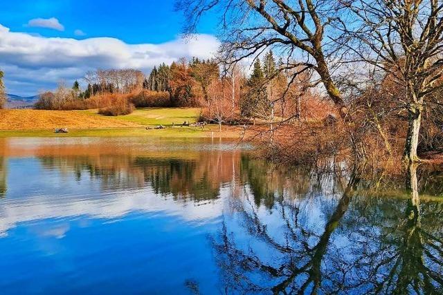 Wird der Eichener See bei Schopfheim zum Naturwunder gekrt?