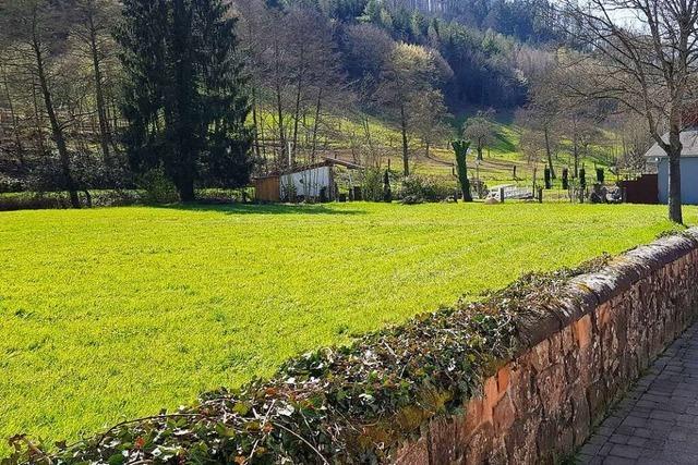 Gegen die Bebauung der Badwiese in Ettenheimmnster ist Klage eingereicht worden