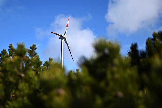 Windrder knnten den Strombedarf der Haushalte im Hexental abdecken.  | Foto: Uli Deck (dpa)