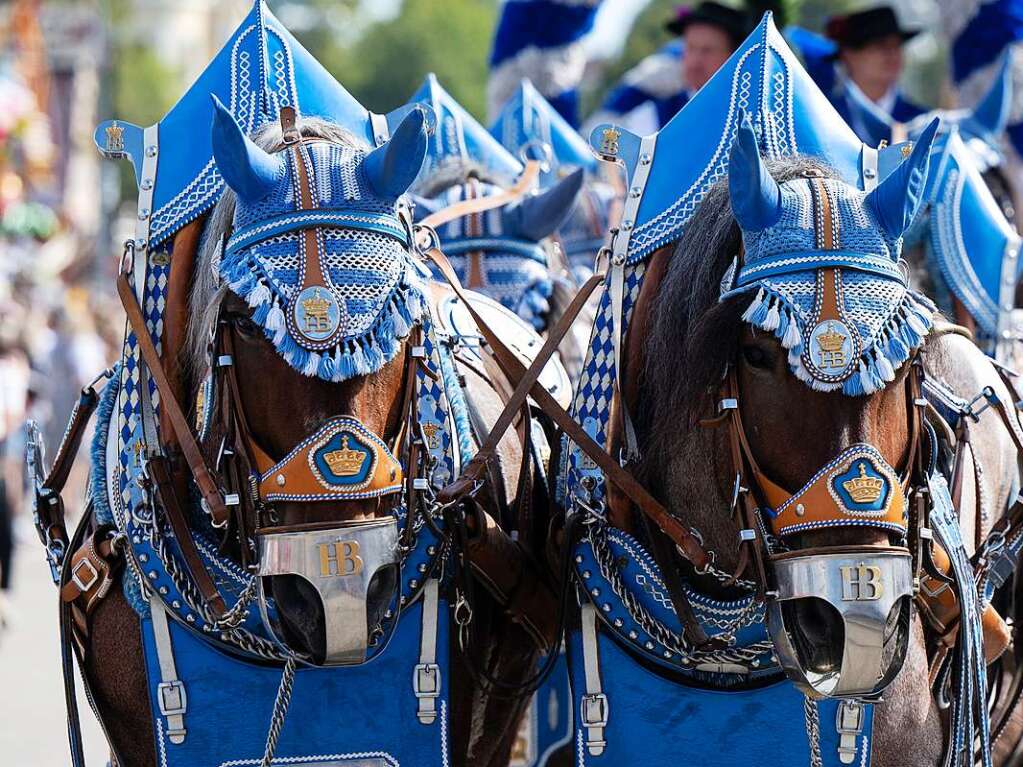 Bier, Promis und ein bisschen Folklore: Die Wiesn finden Heuer zum 188. Mal statt.