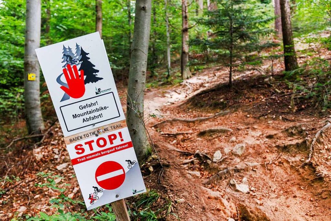Der landeseigene Forstbetrieb ForstBW ...gsbereiche fr Mountainbiker schaffen.  | Foto: Philipp von Ditfurth (dpa)