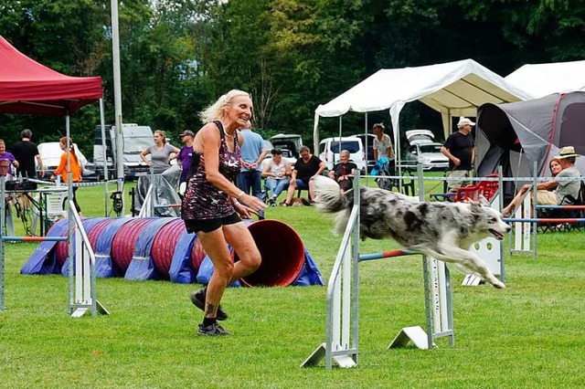 Teams aus acht Nationen traten in dies...gen beim Agility-Turnier im Finale an.  | Foto: Dieter Erggelet