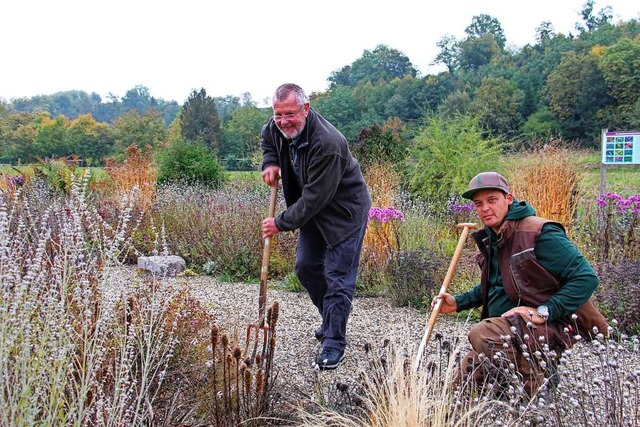 Im Lehrgarten in Kenzingen haben KOGL-...d trockenresistenten Stauden angelegt.  | Foto: Ruth Seitz