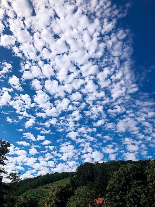 Schfchenwolken am Sommerhimmel  | Foto: Claudia Fler