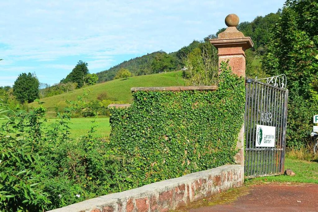 Jedes Wochenende steht das Tor zu Landelins Garten für Besucher offen.  | Foto: Hannah Fericks Zelaya