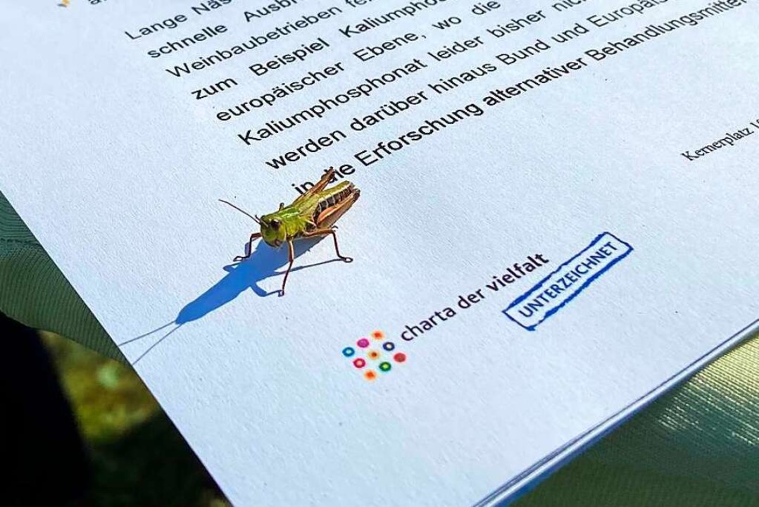Artenvielfalt ist im Weinbau ein groe...chaftsministeriums Platz genommen hat.  | Foto: Klaus Riexinger
