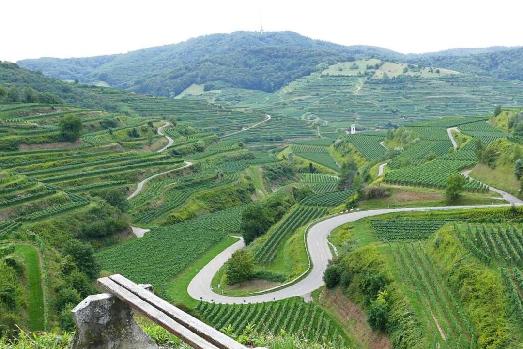 Blick vom Texaspass  in die Weinberge:...st von der neuen Verordnung betroffen.  | Foto: Gerold Zink