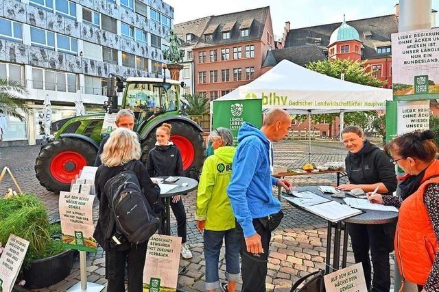 Organisationen setzen sich in Freiburg für mehr Naturschutz und weniger Versiegelung ein