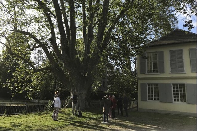   | Foto: Museum im Ritterhaus