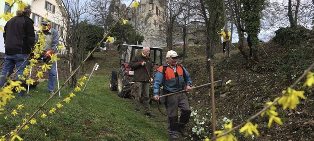 Die Pflege der Burgruine Landeck ist eine der Aufgaben des Vereins.  | Foto: privat