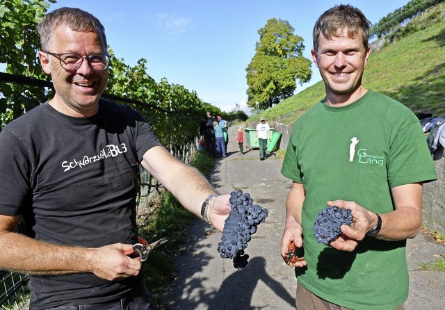 Zufrieden mit der Qualitt und der Men...Lang (rechts) und einer seiner Helfer.  | Foto: Heinz und Monika Vollmar