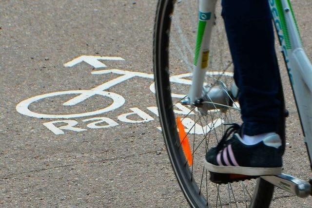 Bessere Infrastruktur soll mehr Menschen auch im Alltag aufs Fahrrad bringen