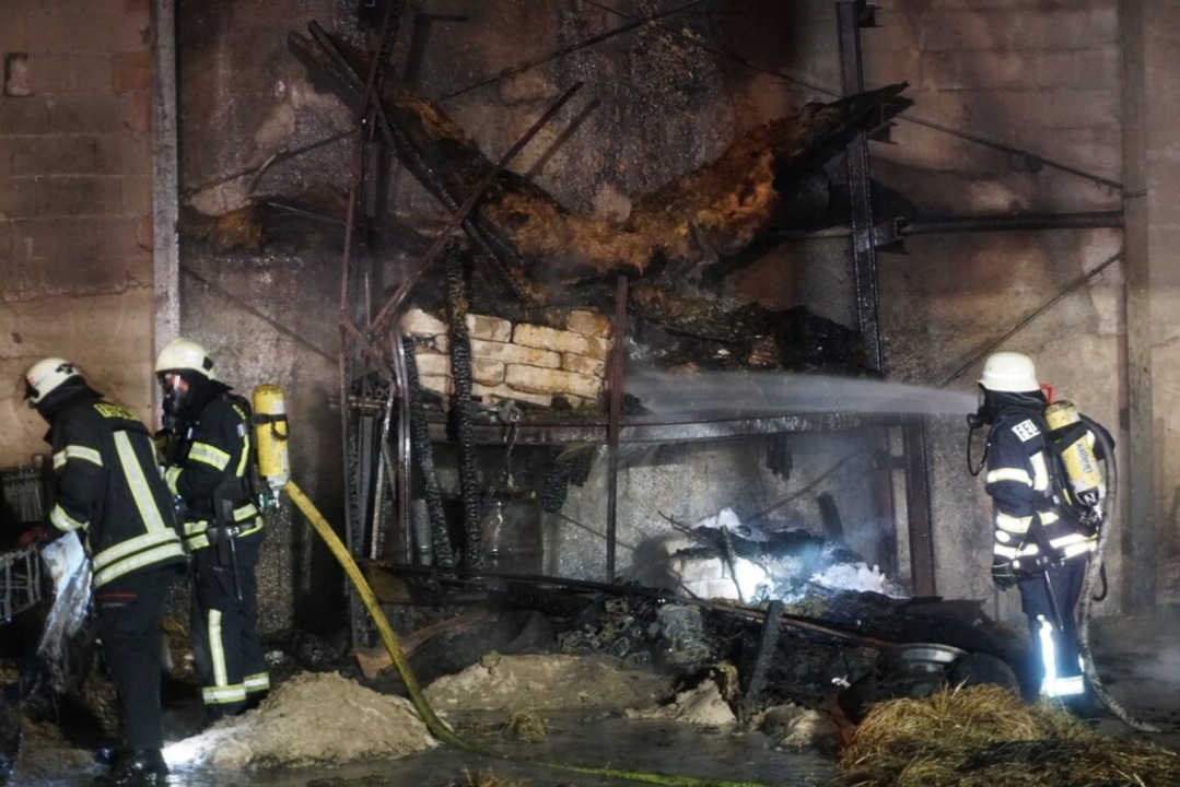 Schlimmeres verhindern konnten die Feu... dem Stallgebäude herausgeholt werden.  | Foto: Feuerwehr Endingen