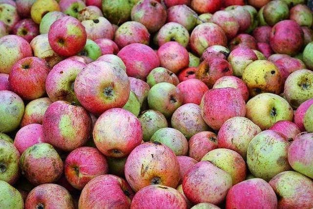 Fruchtsäfte Meier in Lahr-Sulz schließt den Getränkemarkt Ende September