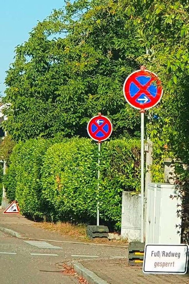 ber das Wochenende haben Unbekannte z...der entlang der Ritterstrae abgelegt.  | Foto: Gemeinde Grenzach-Wyhlen