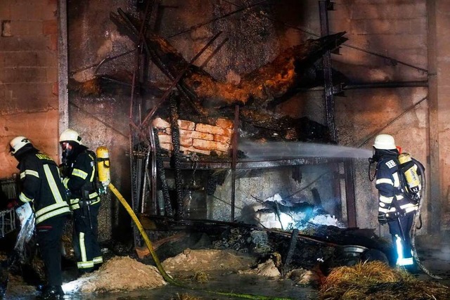 Schlimmeres verhindern konnten die Feu...e Polizei geht von Brandstiftung  aus.  | Foto: Feuerwehr Endingen