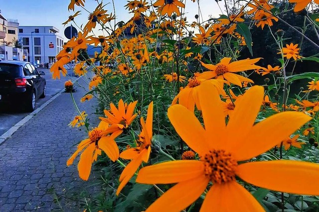 Entlang der Gartenstrae wird sich die neue Ortsmitte erstrecken.  | Foto: Erika Bader